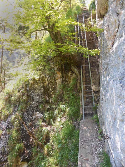 eine Reihe von Versicherungen und Leitern bringen uns zurück zum See