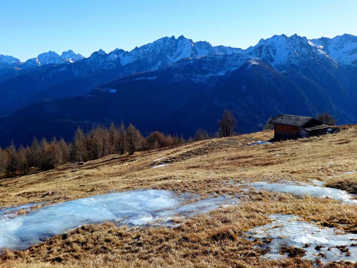 mit einem schönen Blick auf den Karnischen Hauptkamm tauchen wir in den Hochwald Richtung Klammberg und Untertilliach ein