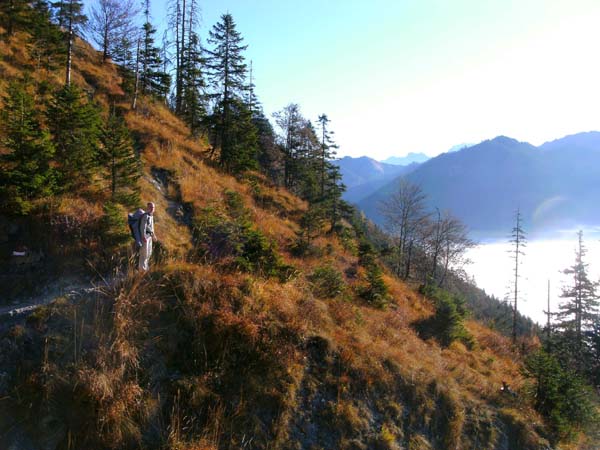 der Waldsteig geht in steilere Wiesenhänge über; ganz hinten der Prielkamm