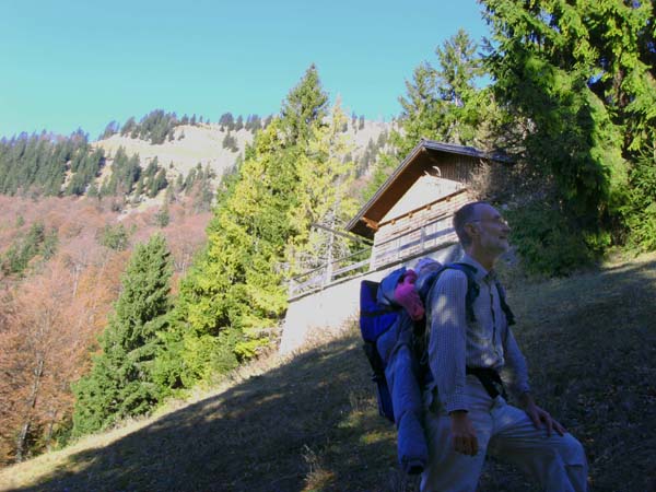 auf der Hiaslalm, 1074 m; darüber die Eibenbergschneid