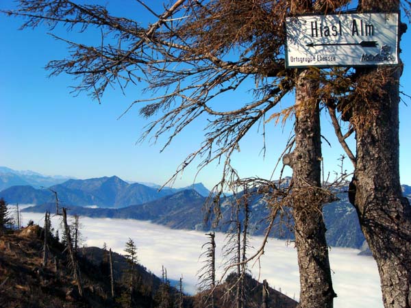 Blick gegen WSW übers Trauntal auf Zimnitz (links) und Schafberg (Mitte)