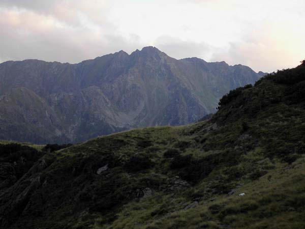 der Eisenhut von NO (Sölkpass)