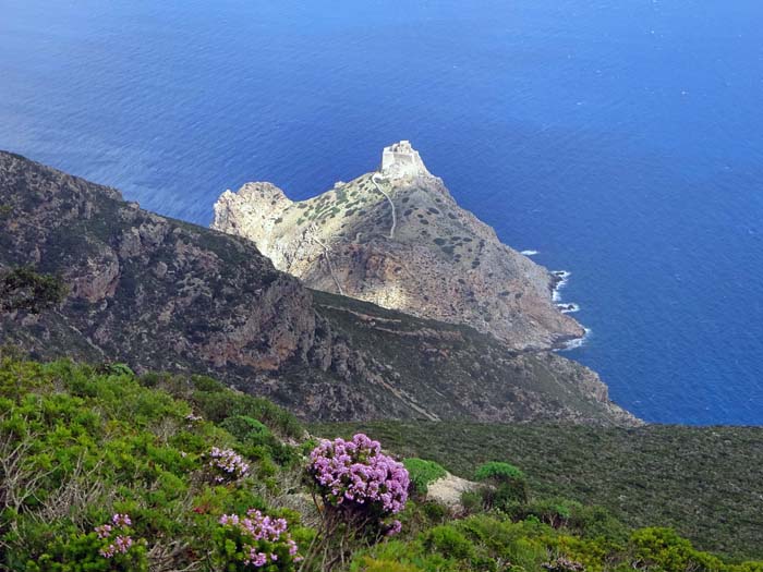 vom Gipfel zurück zur Abzweigung und Querung der Ostflanke mit Blick auf die Punta Troia