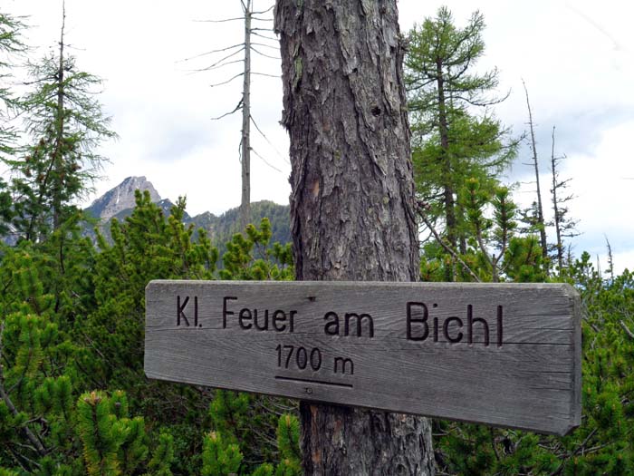 ... und gleich darauf den Kleinen Feierabendbühel - die Verballhornung des Namens durch frühe Kartographen wird sich bald als nicht ganz unberechtigt erweisen; links hinten der Breitenstein