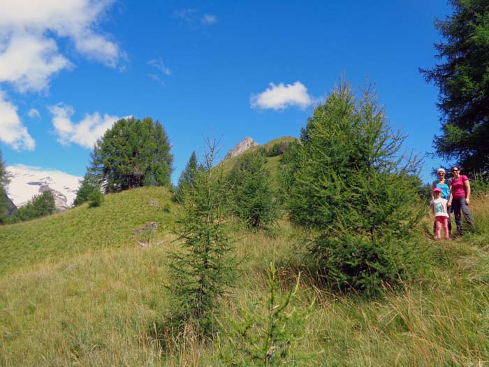 am Auslauf des Dorferkamms; durch Waldstücke ...