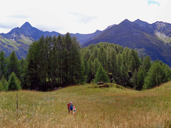 ... und Almwiesen nähern wir uns der letzten Kuppe vor dem Finsterwitz, die - abermals in sehr steilem Gelände - diesmal an der Maurertalseite gequert werden muss