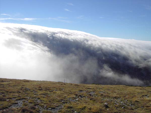 heute aber spielt uns der Wettergott einen besonders ausgekochten Streich - die Nebelmassen schwappen v. S gerade noch über Heukuppe und Gamseck; nur etwas weiter nördlich, hier am Predigtstuhl, herrscht strahlender Sonnenschein