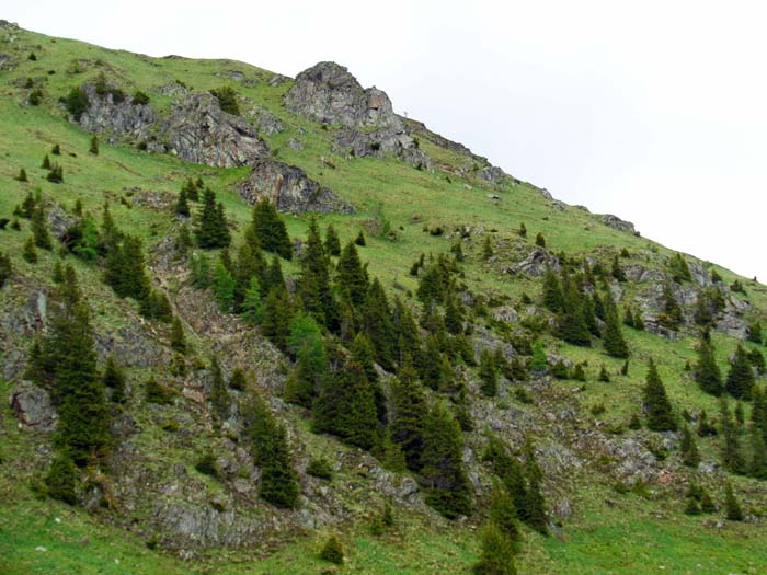 ... unter die steile Gaugen-SW-Flanke, die wir direkt ...