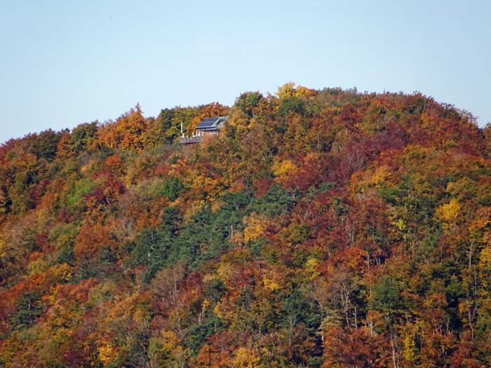 ... aufs Kieneck, wo durch den Mischwald schon die Enzianhütte lugt