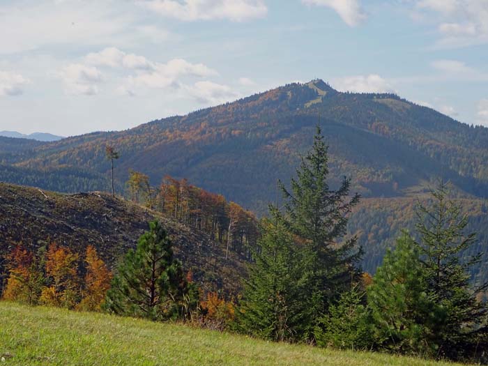 ... mit Blick auf den Unterberg, den dritthöchsten Gipfel der Gutensteiner Alpen