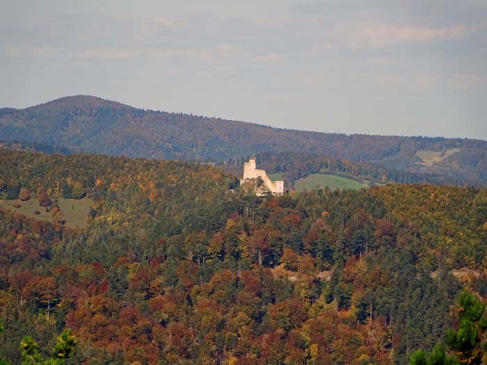 nahe der Nordwestecke unseres Hufeisens thront die Araburg, die höchste Burgruine im südlichen Niederösterreich, die der Bevölkerung während des verheerenden ersten Türkeneinfalls zu Beginn des 16. Jahrhunderts Schutz bot; im 2. Weltkrieg schwer beschädigt, wurde sie in den 1960er-Jahren renoviert und steht heute unter Denkmalschutz