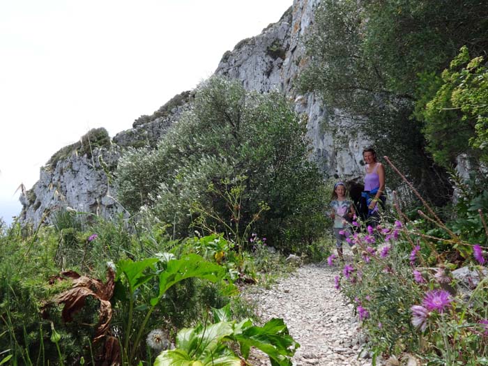 im oberen Teil führt der Weg durch einen kleinen Tunnel 