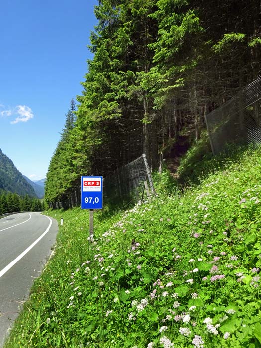 die unscheinbare Abzweigung des Jagdsteigs 500 m nördlich des Parkplatz Elisabethsee an der Felbertauernstraße