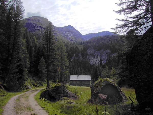 am Zustieg: Jagdhaus Fuchshütte gegen SSW (Speikkogel li, Lackenspitze und Zeppspitze)