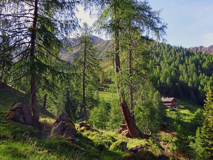 Rückblick zur Tilliachalm und auf den Weißlachberg (s. Archiv Schitouren unter Gumriaul) Rückblick zur Tilliachalm und auf den Weißlachberg (s. Archiv Schitouren unter Gumriaul)