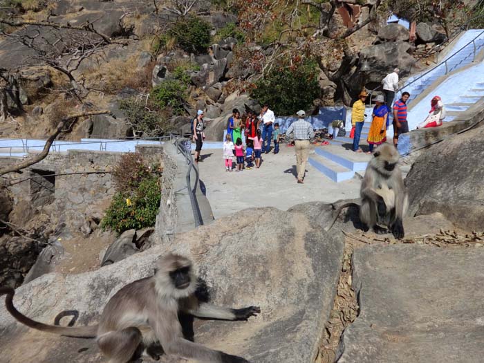 der Aufstieg zum Adhar-Devi-Tempel wird von naschsüchtigen Affen bevölkert; Ronja beim obligaten Fototermin mit den Indern