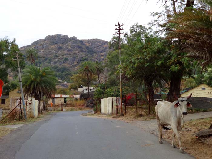 am nördlichen Stadtrand von Mount Abu geht es in wenigen Minuten ...