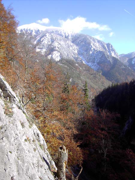 ein typisches Motiv aus der Romantikerpromenade - Blick gegen das Klosterwappen (Schneeberg)