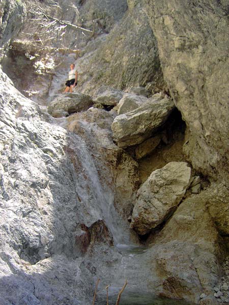 am Umkehrpunkt der Scheren-Schlucht, Doppelwasserfall mit Baumverhau