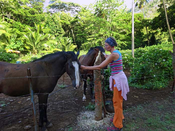 Pferde sind der ganze Stolz der Marquesas-Bewohner; sie wurden aus Europa eingeführt, viele der schönen Tiere leben halbwild in den Bergen der Inseln