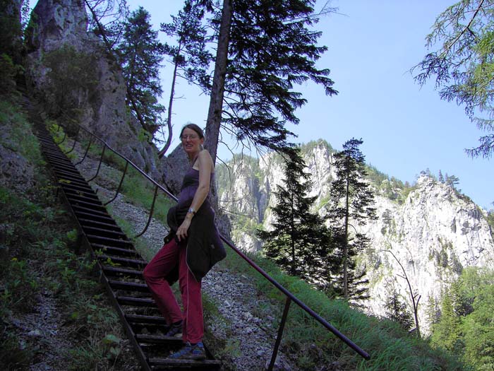 Ulli auf der Schönbrunner-Stiege, rechts die Vordere Klobenwand mit vielen schönen Kletterrouten ab 4+