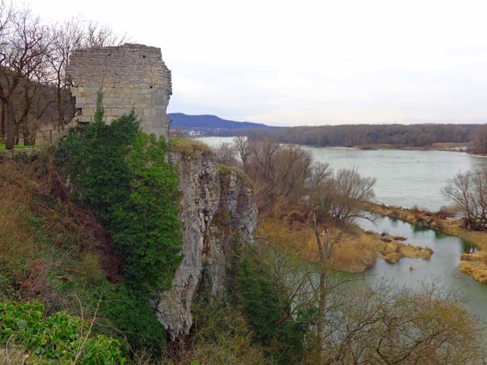 jenseits des Flusses der bezaubernde Nationalpark Donauauen mit seinen Altwasserarmen und Sandstränden