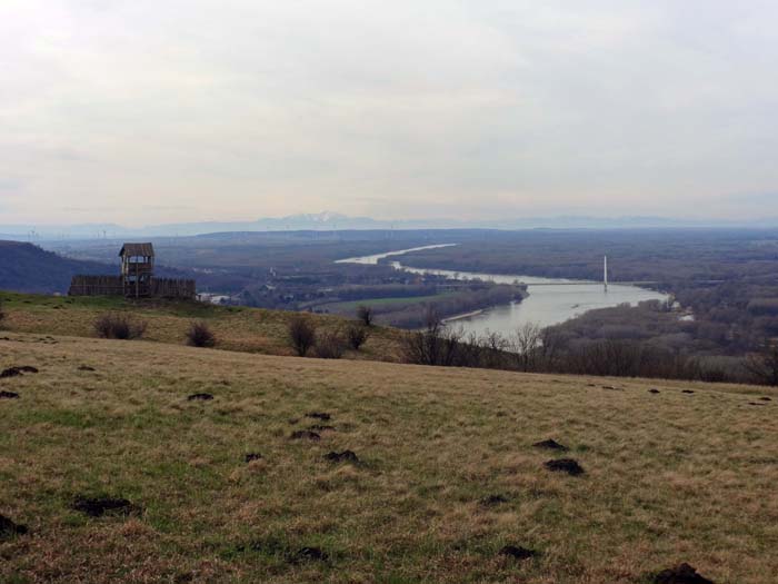 vom schrägen Gipfeldach des Braunsberg blickt man über die Donau bis zu den Alpen; links der Mitte der Schneeberg