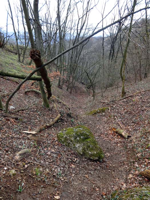 die Große Klamm kerbt sich in die Westhänge des Berges, hat aber nur wenige Felsen zu bieten