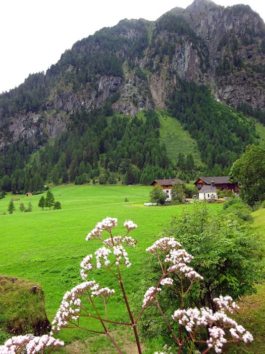rund um den kleinen Weiler Ströden am Fuß der Wiesbauerspitze die letzten gebührenpflichtigen Parkplätze, im Sommer öffentliche Busverbindung rund um den kleinen Weiler Ströden am Fuß der Wiesbauerspitze die letzten gebührenpflichtigen Parkplätze, im Sommer öffentliche Busverbindung