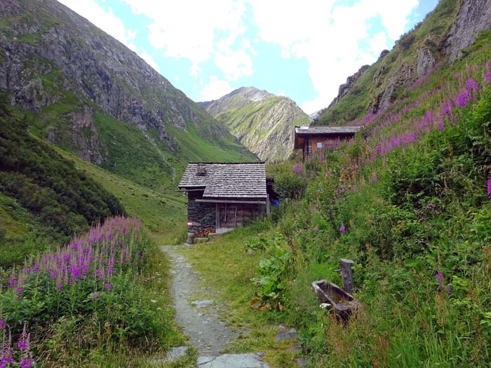 ... vorbei an der Ochsnerhütte ... ... vorbei an der Ochsnerhütte ...