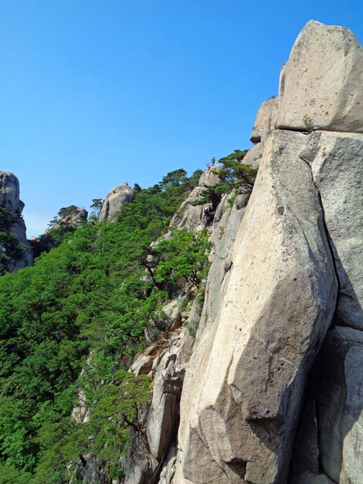 ... beginnt der Klettersteig mit einem Steilabstieg in die tiefe Scharte vor dem nächsten Turm; er wird in dem schattigen Riss (in Bildmitte unten) umgangen; genau darüber erkennt man Klettersteiggeher am folgenden Turmgipfel, der überklettert wird