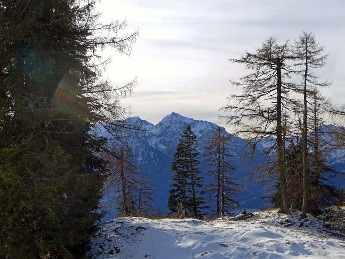 bald darauf sieht man durch einen Waldsattel in 1650 m Höhe hinüber zur Südseite auf den Polinik des Karnischen Hauptkamms      