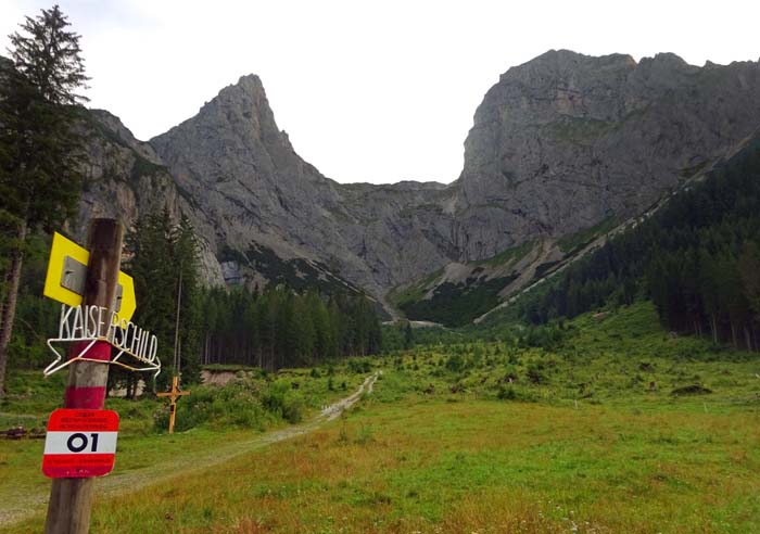 nach knapp zwei Kilometer Forststraße wenden wir uns dem Bärenloch zu; der scharfe Spitz ist nicht der Hochkogelgipfel, ...