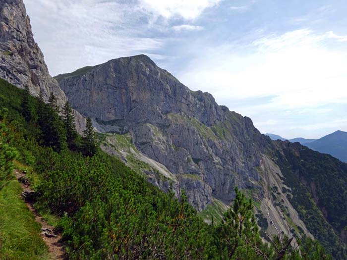 Blick vom hier schon latschenbewachsenen Südkamm hinüber zum Kaiserschild-Klettersteig