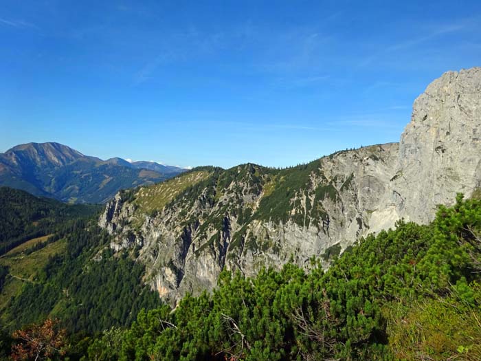 der flache Latschenkamm zum Halskogel von Osten