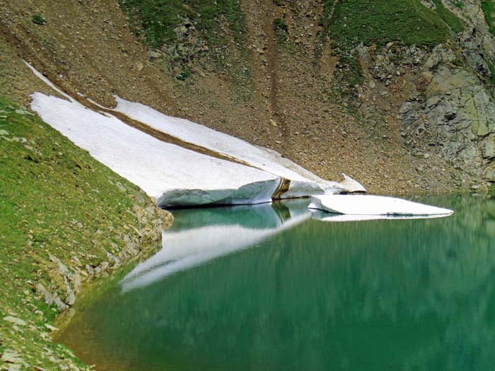 wie ein kurzes Innehalten des Klimawandels: Falk-am-See, Anfang August, rein südseitig