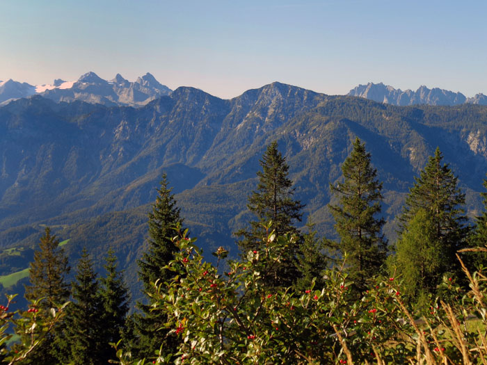 in wenigen Minuten kann man von hier aus den Feuerkogel ersteigen; hinter den Kalmbergen zeigen sich Gosaukamm und Dachstein, ...