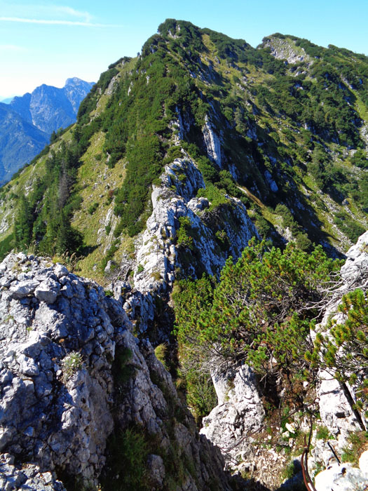 viel reizvoller ist natürlich die Gratschneide - ebenfalls durchgehend markiert