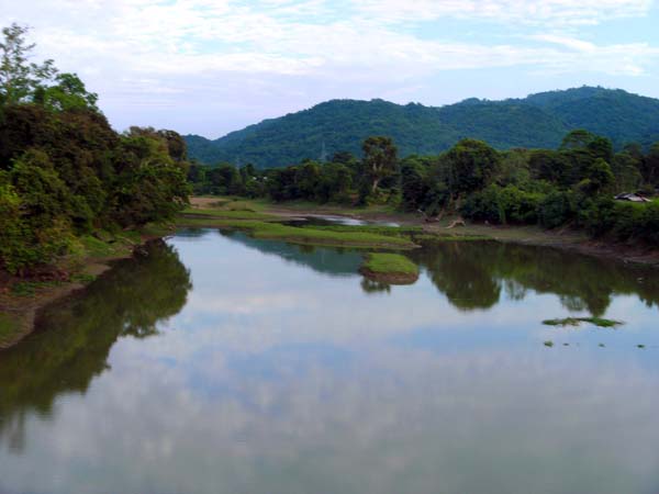 im Kaziranga Nationalpark, der einen Teil der Aulandschaft des Brahmaputra umfasst