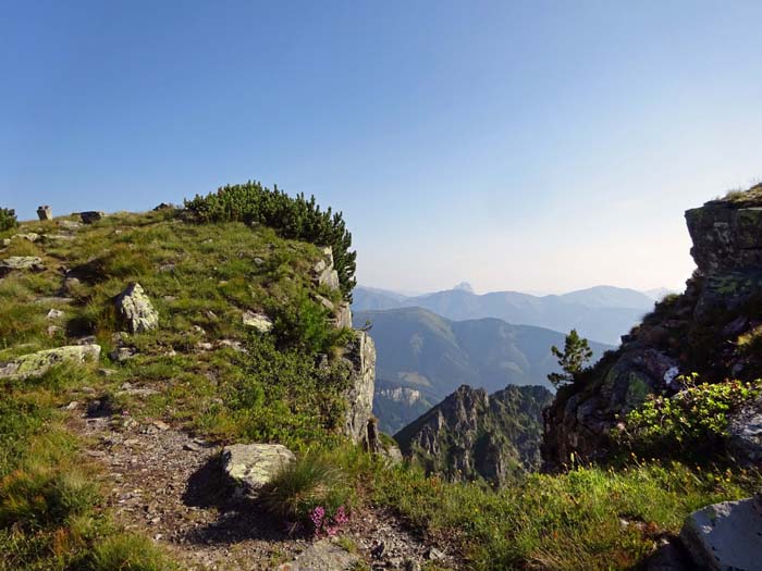 Blick durch die Gipfelscharte der Stellmauer; ganz hinten lugt der Lugauer hervor