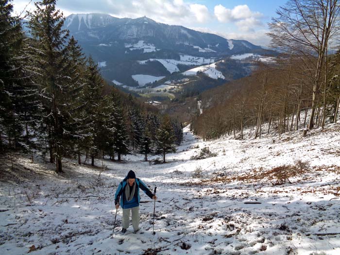 wir verlassen den Eingang zum Steigengraben über die baumfreie SW-Mulde des Hochreiterkogel; darüber Hinteralm und Muckenkogel, wo übrigens der erste Torlauf der Schigeschichte stattfand