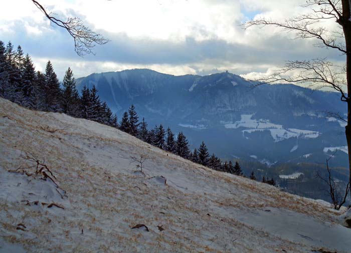 ... der Abstieg in den folgenden Sattel vor dem Sengenebenkogel ist wieder flach; hier kommt die Westroute des beliebten Schimugels herauf