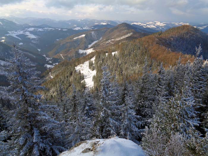 wo die Voralpenkämme felsig werden: Frühwintermärchen in den Gutensteiner Alpen; Blick vom Sengenebenberg gegen Westen auf den ersten Teil unserer Überschreitung rund um den Steigengraben (links), ganz hinten die Türnitzer Alpen