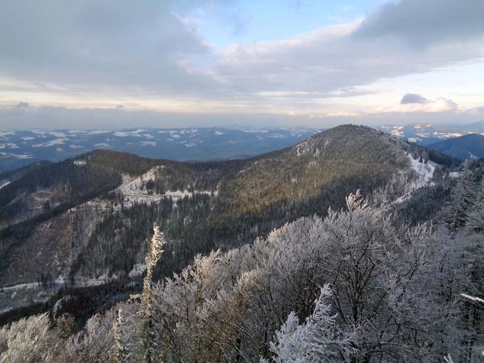 im NO Sengenebenkogel und Sengenebenberg, dahinter der Wienerwald