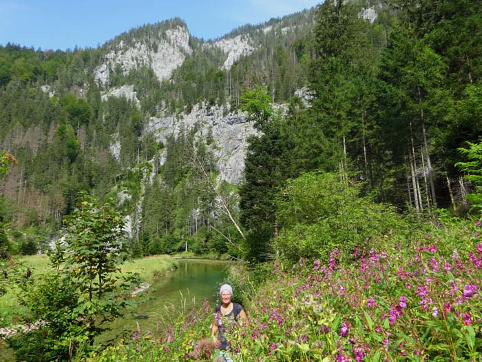 schon nach kurzer Zeit taucht man in eine urweltliche Landschaft ein, der Steig ist stellenweise halb verwachsen