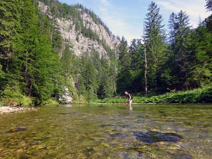 die einstmals beliebte Wanderung ist heute nicht mehr durchgehend bis Greith begehbar; Waldläufer, die unauffällig und ohne Spuren zu hinterlassen die Wildnis durchstreifen können, finden für sich Mittel und Wege