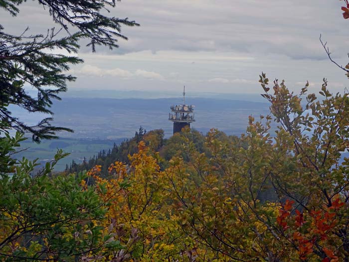 über den Pichlersteig gelangen wir auf den Muckenkogel mit seiner weithin sichtbaren Sendeanlage