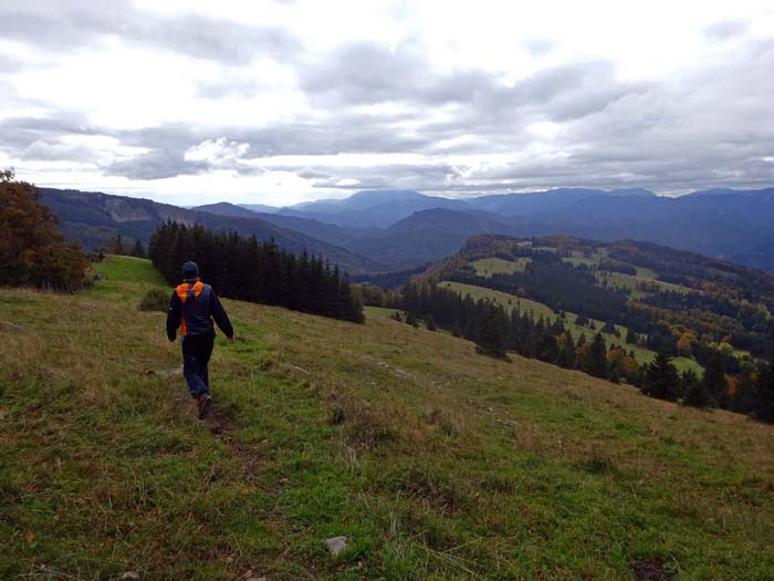 anschließend laufen wir die lange, aussichtsreiche Sternleiten hinunter, dem wolkenverhangenen Schneeberg entgegen