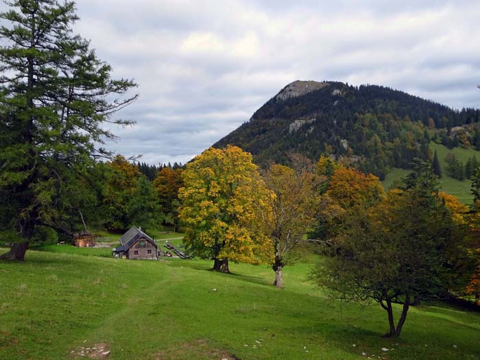 die Kleinzeller Hinteralm im Sattel zwischen Reisalpe und Hochstaff; falls sie nicht bewirtschaftet ist, kann man sich am gut bestückten Wassertrog selbst bedienen