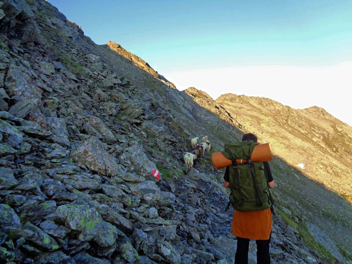 der Hauptkamm wird hier zwischen Rothorn und Kl. Hochkreuz sehr zerklüftet; der Weg schummelt sich den Hang entlang ...